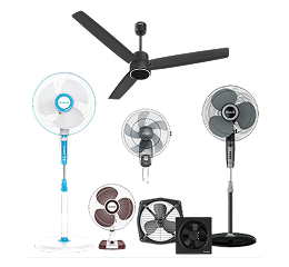 Fan