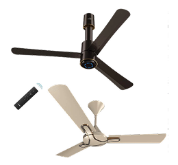 Ceiling Fan