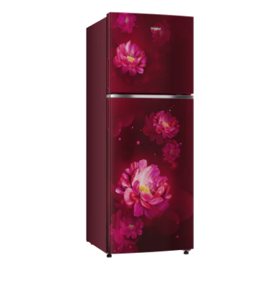 Whirlpool 235L 2 Star Frost-Free Double Door Refrigerator (NEO