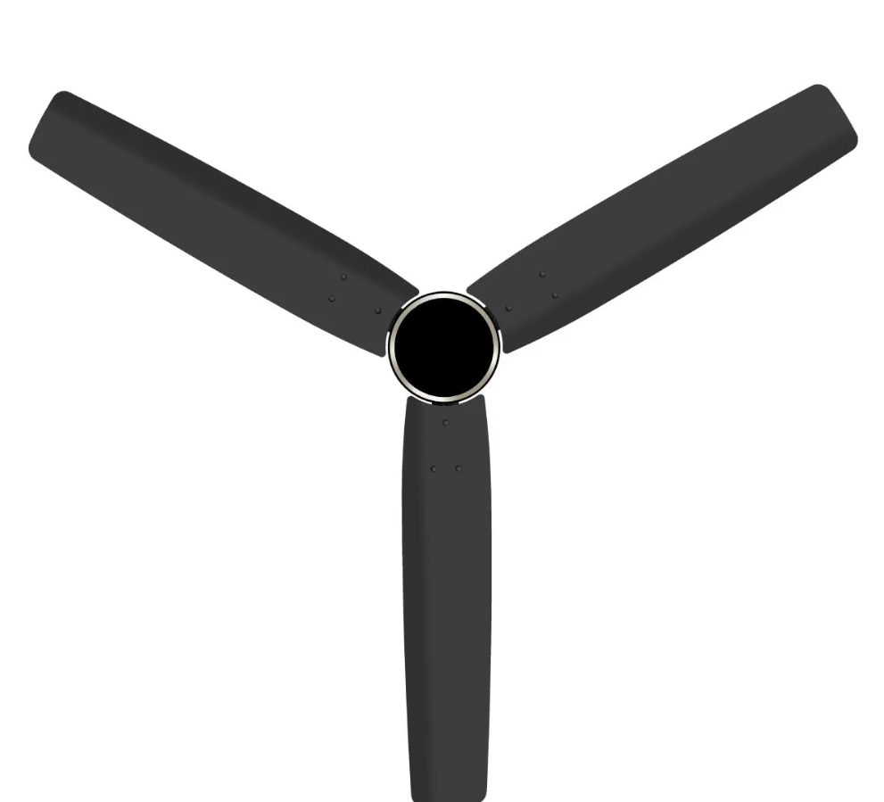 Havells 1200mm BLDC Ceiling Fan with Remote (Epic Pro, Matte Black)