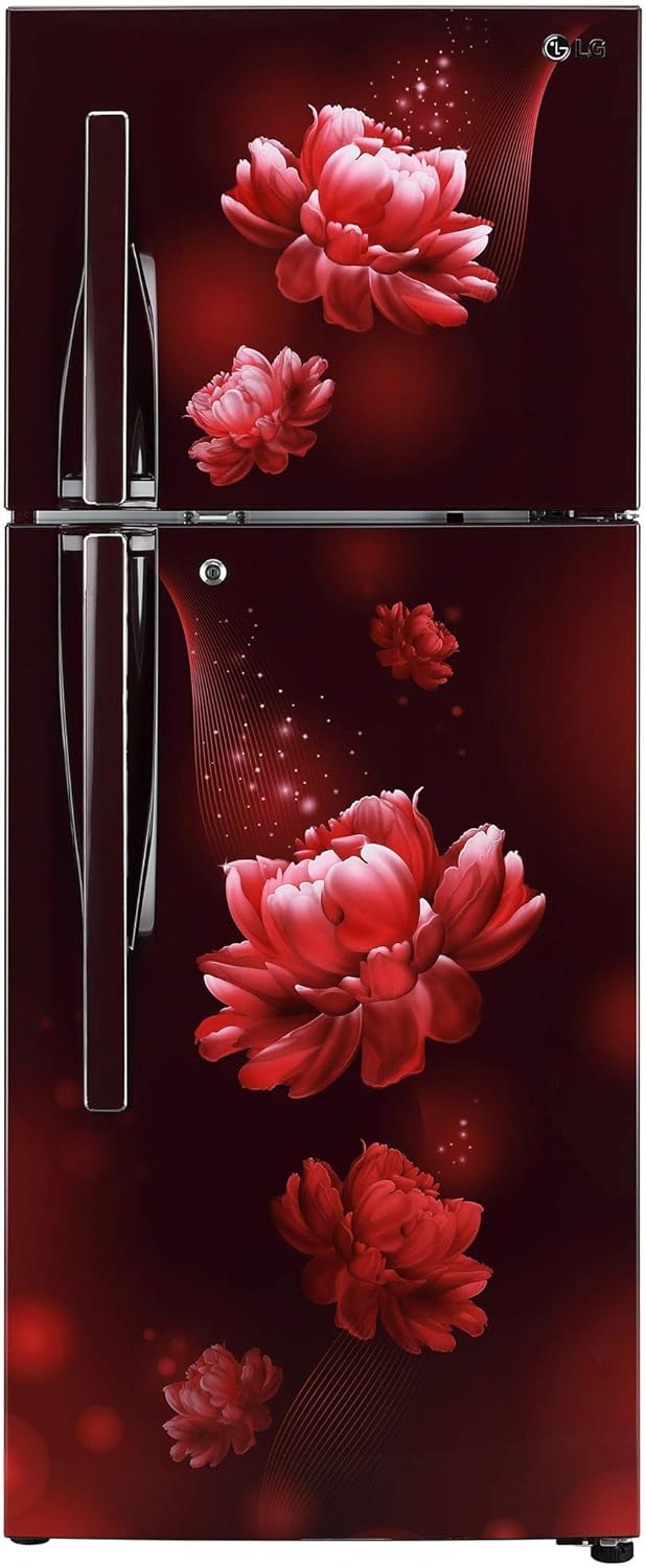 LG 260L 3 Star Frost Free Smart Inverter Double Door Refrigerator