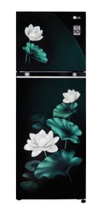 LG 246L Double Door Refrigerator with Smart Inverter Compressor